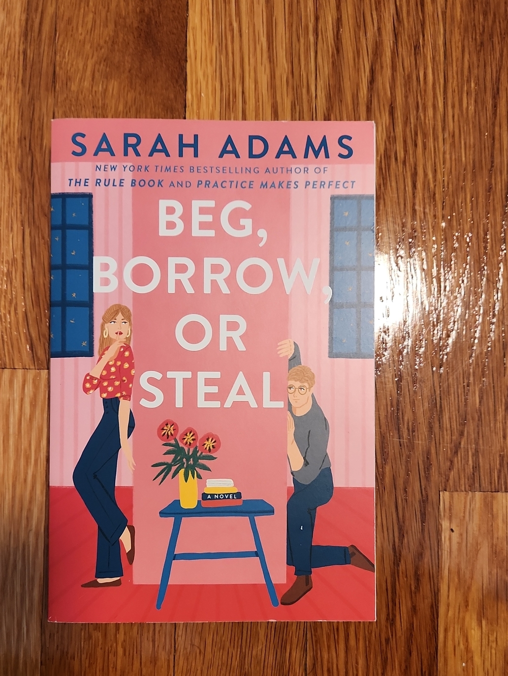 Beg, Borrow, or Steal by Sarah Adams - Pink Cover Paperback